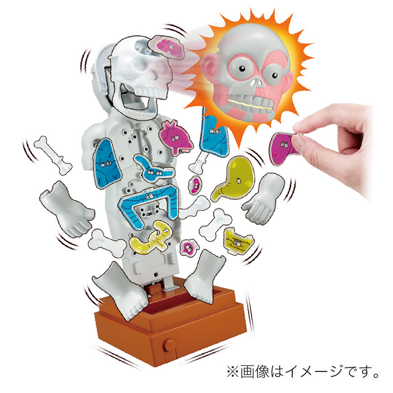 スーパークラッシュ 人体模型