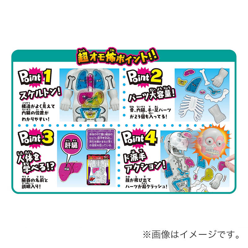 スーパークラッシュ 人体模型