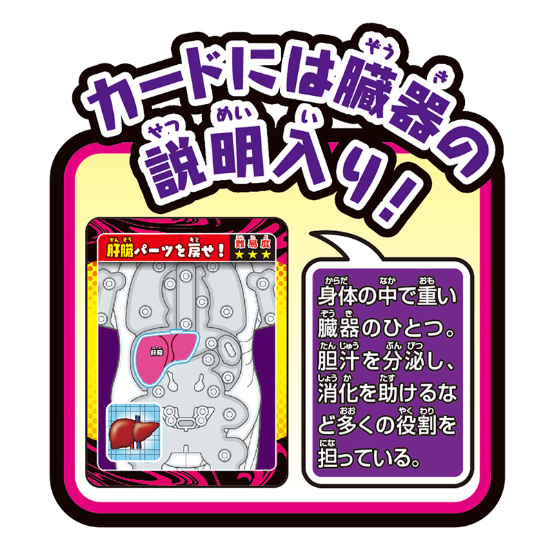 スーパークラッシュ 人体模型