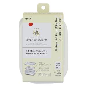 極 冷凍ごはん容器 大 2個入 K784W