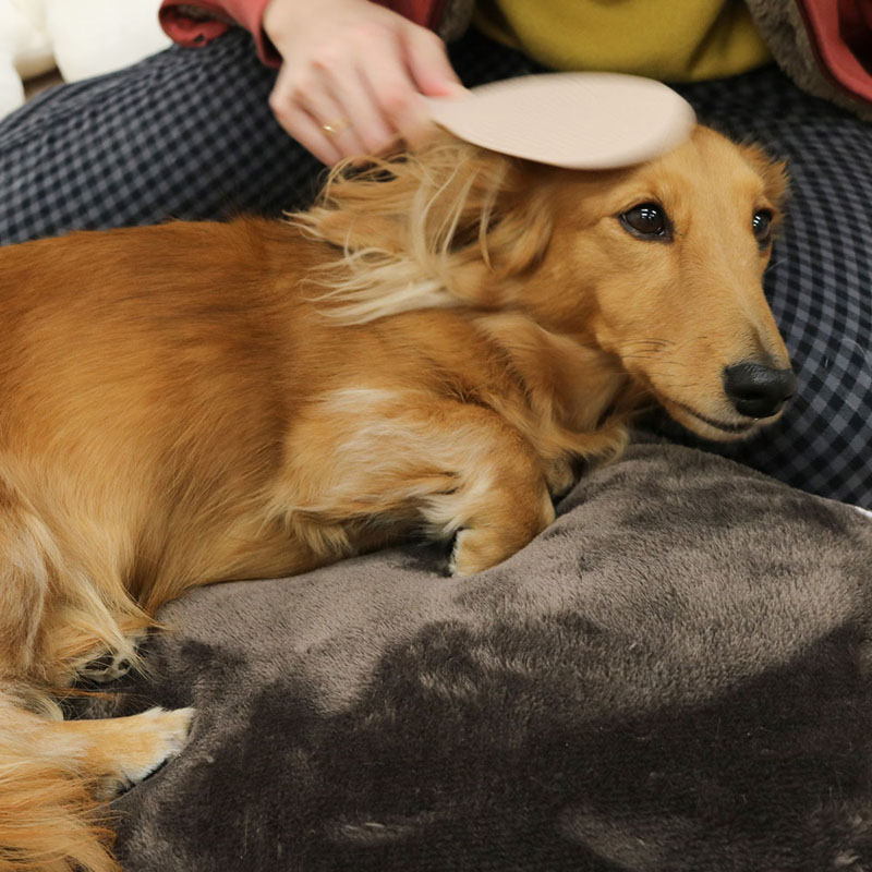なで犬(わん)しゃもじ