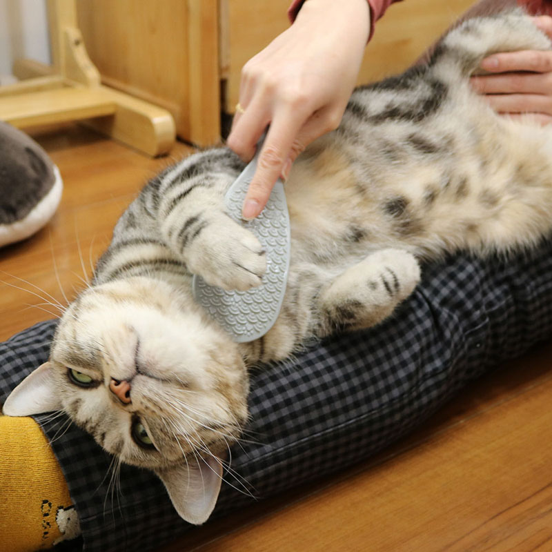 なで猫(にゃん)しゃもじ