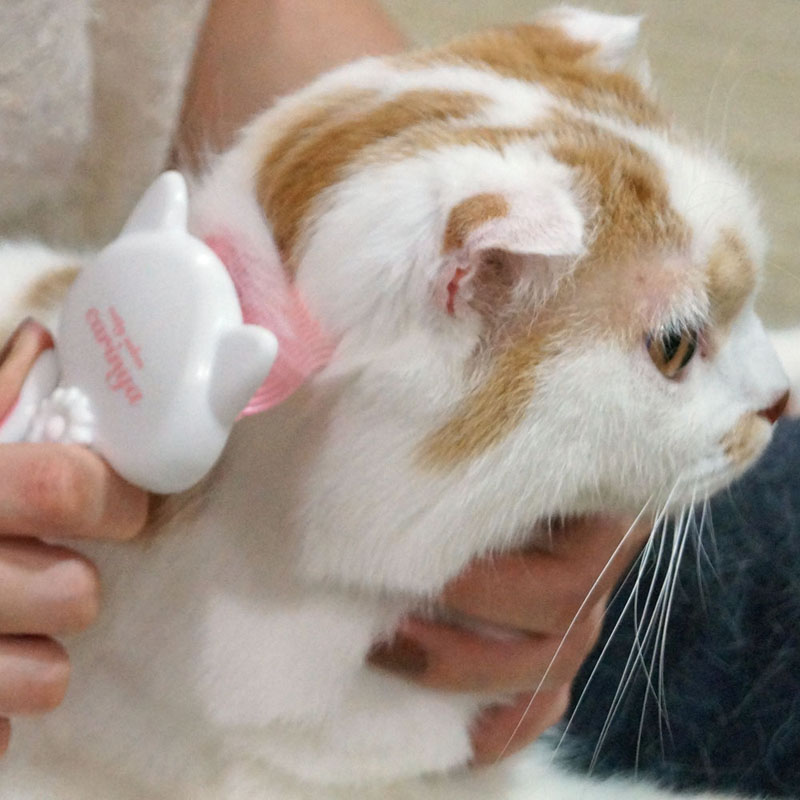 CC にゃめらかコーム