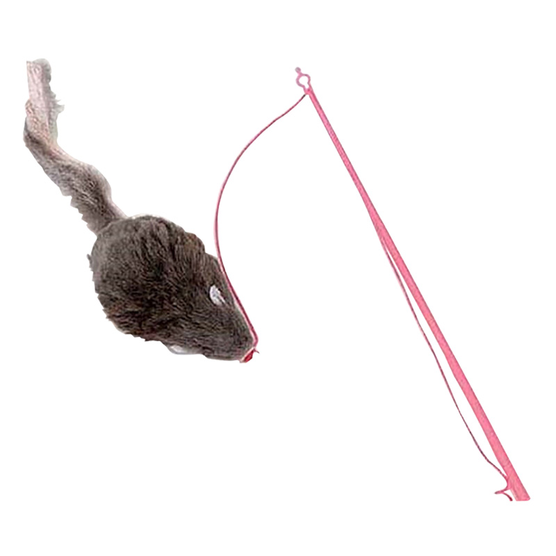 じゃれ猫 チューチュー