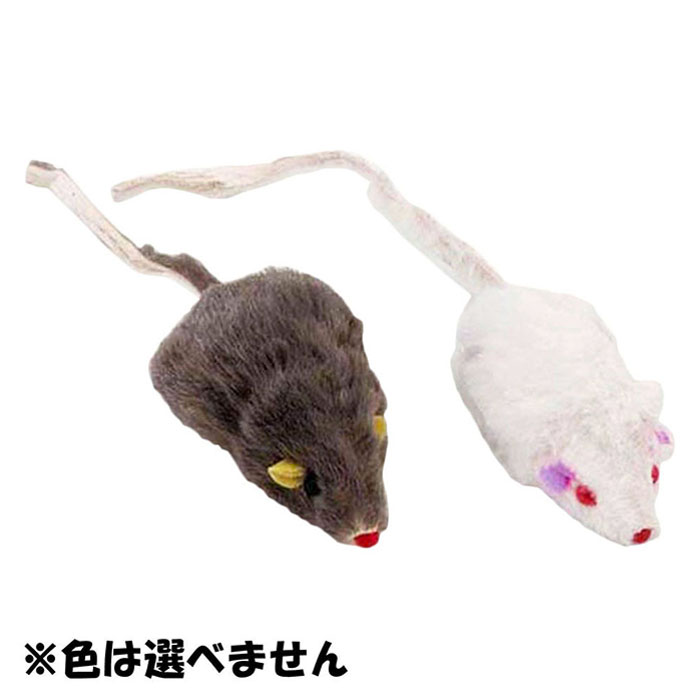 じゃれ猫 仔ネズミ