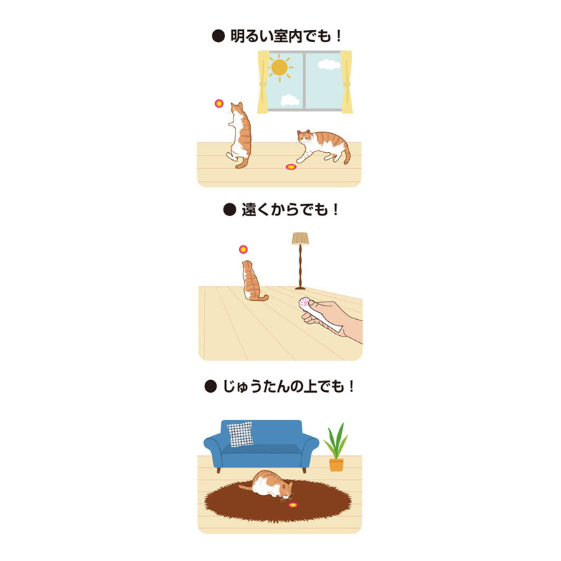 じゃれ猫 レーザーニャンだろ~?!光線