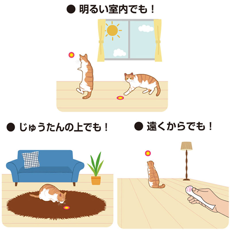 じゃれ猫 レーザーニャンだろ~?!光線