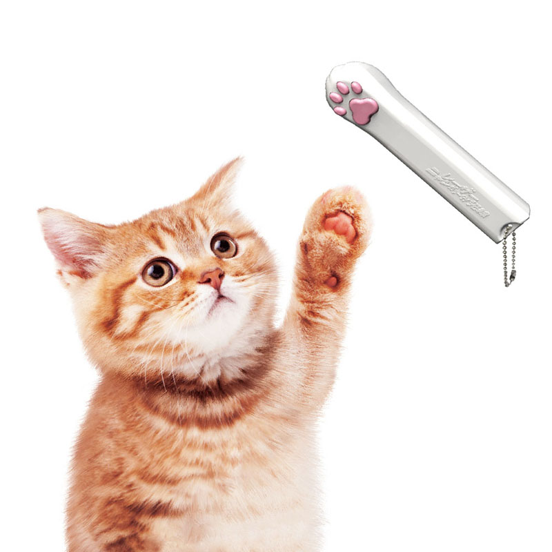 じゃれ猫 レーザーニャンだろ~?!光線