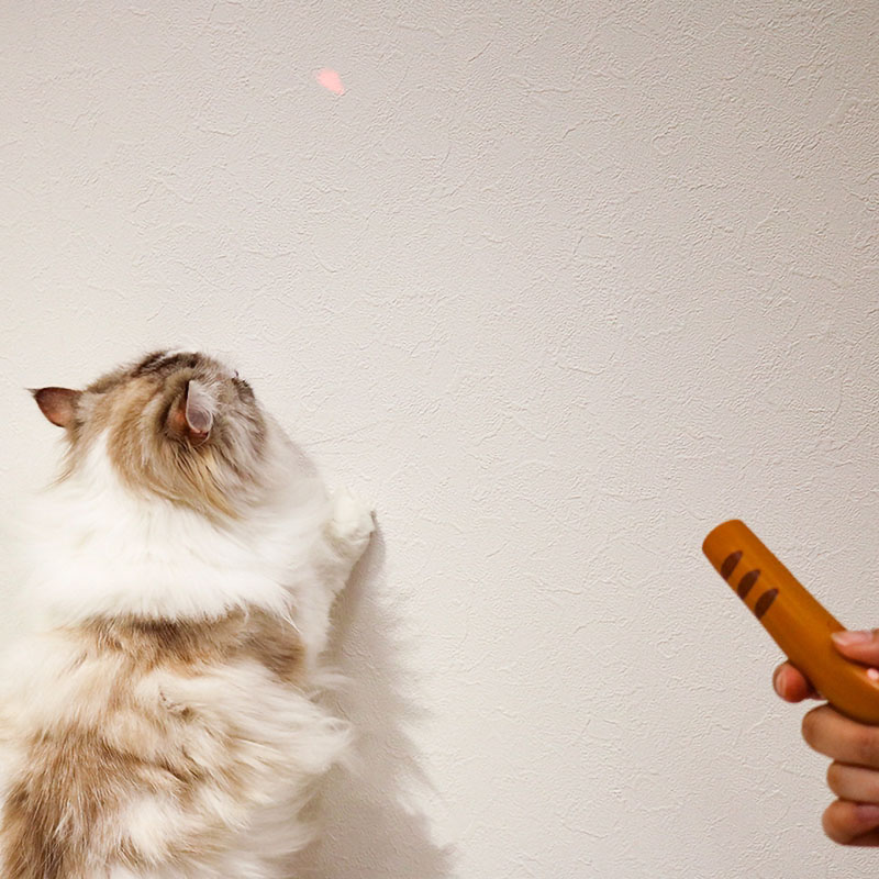 じゃれ猫 LEDニャンだろ～?!光線 茶トラ 1個