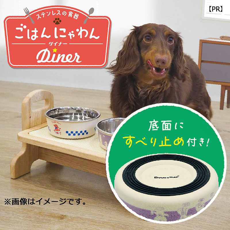 ステンレスの食器 ごはんにゃわん 犬用 SS ダイナー
