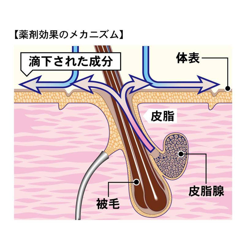 薬用ペッツテクト+ フォースガード 中型犬用 1本入【動物用医薬部外品】