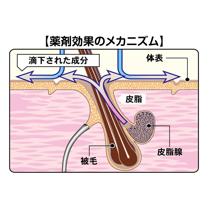 薬用ペッツテクト アドバンス 猫用 3本入