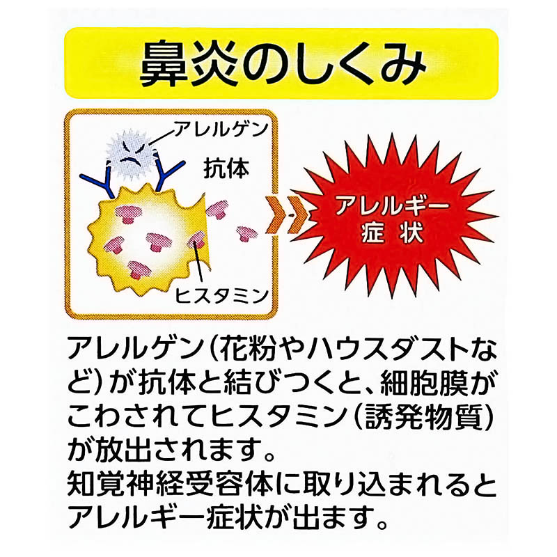 【第2類医薬品】モーテンAG点鼻薬 30ml