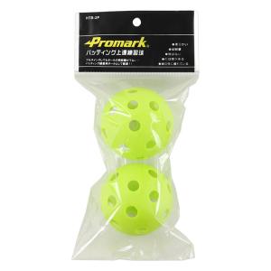 プロマーク バッティング上達練習球 2球入 HTB-2P