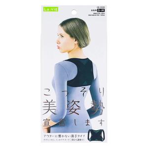 こっそり美姿勢宣言します