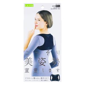 こっそり美姿勢宣言します