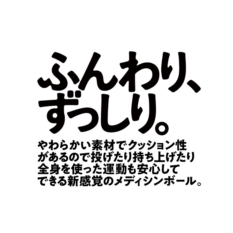 La-VIE(ラ・ヴィ) メディシンボール ソフト 3kg ブラック