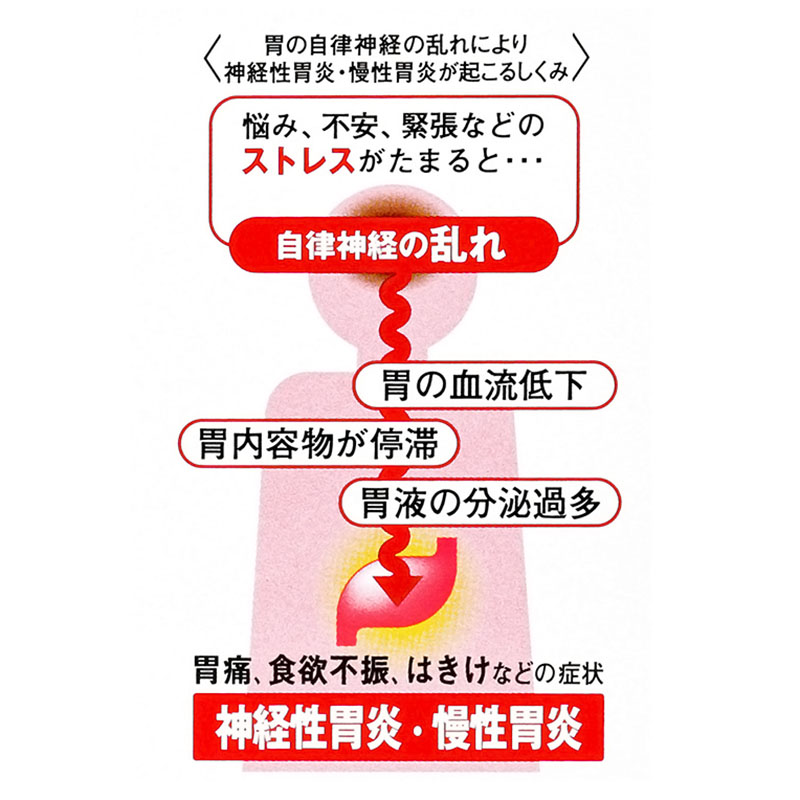 【第2類医薬品】太田漢方胃腸薬ii 14包