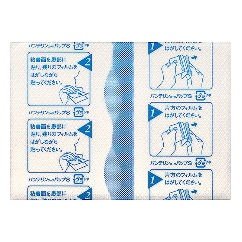 【第2類医薬品】バンテリン コーワパップS 12枚入