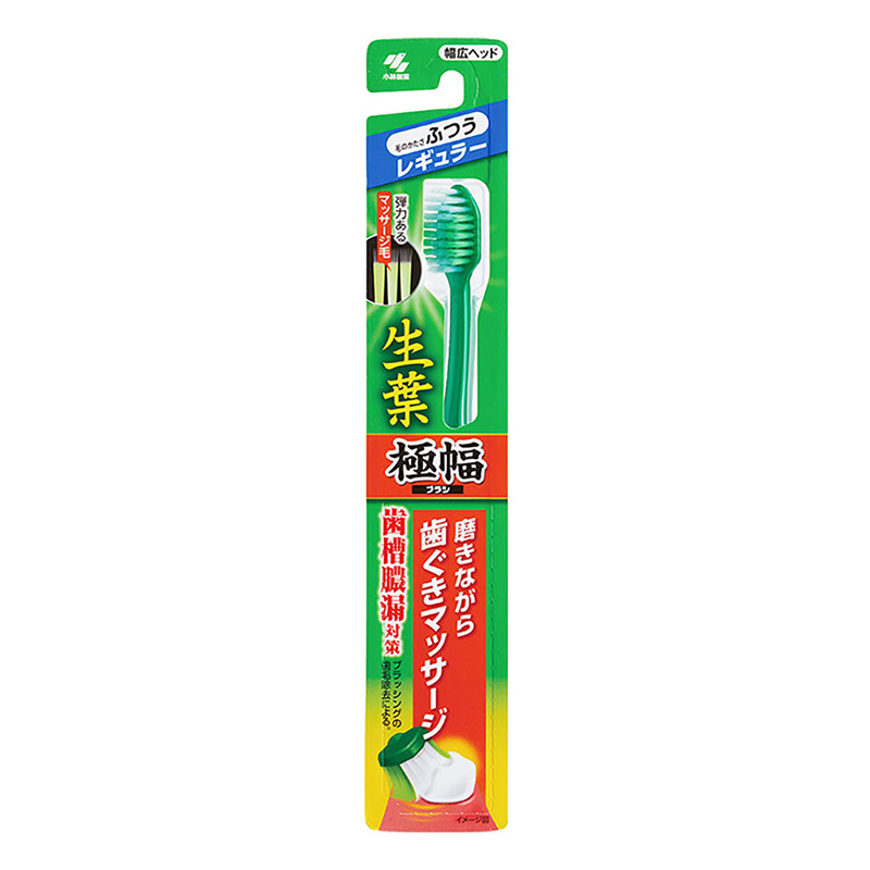 生葉極幅ブラシ レギュラー ふつう