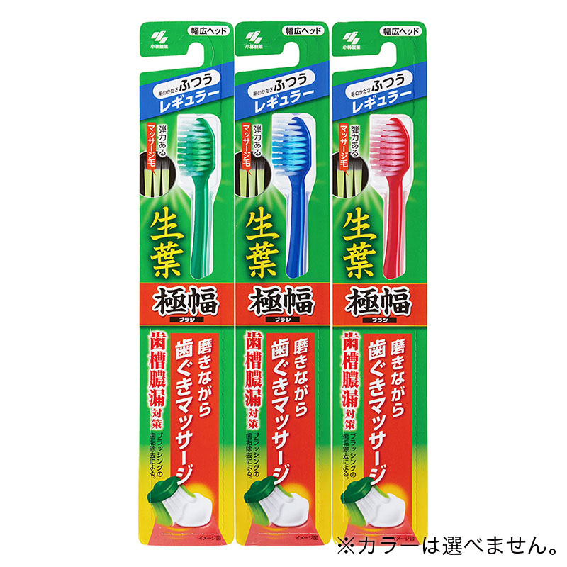 生葉極幅ブラシ レギュラー ふつう