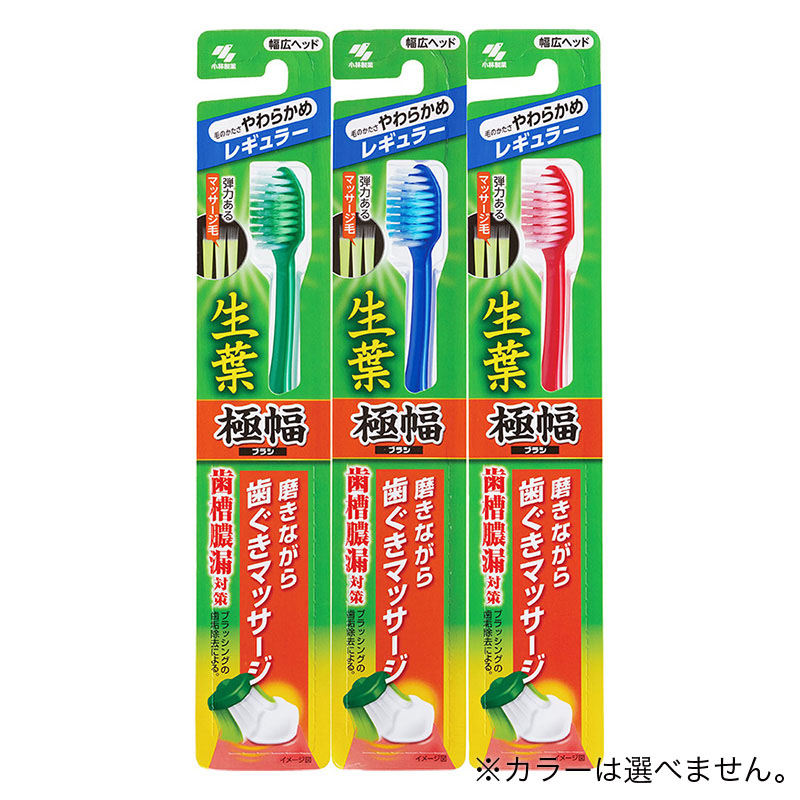 生葉極幅ブラシ レギュラー やわらかめ