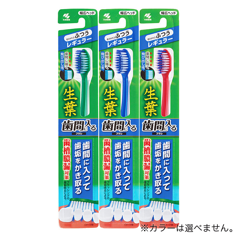 生葉歯間に入るブラシ レギュラー ふつう