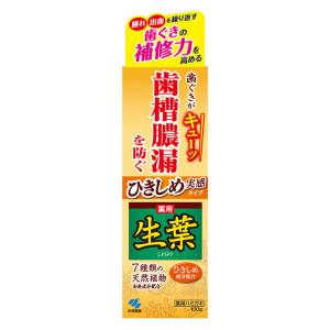 ひきしめ生葉 ひきしめ実感タイプ 100g
