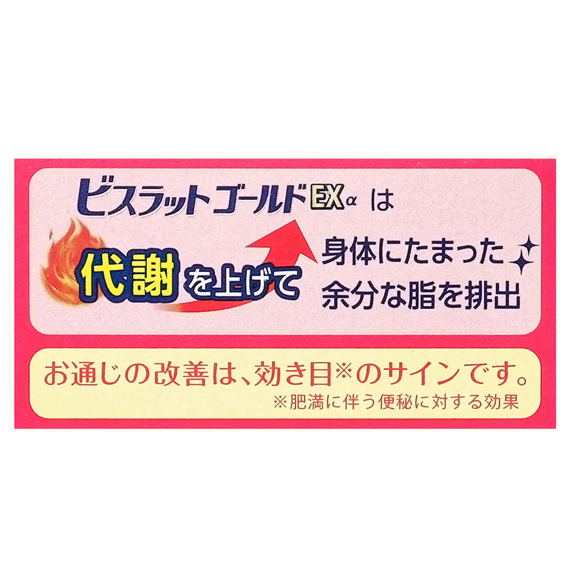 【第2類医薬品】ビスラットゴールドEXα 防風通聖散錠 280錠