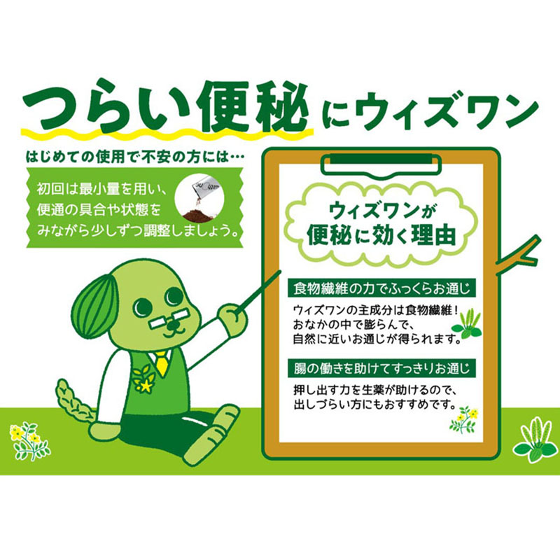 【指定第2類医薬品】新ウィズワン 12包