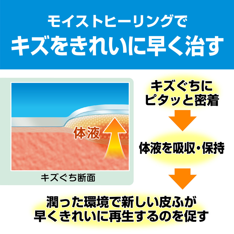 絆創膏 ケアリーヴ 治す力 防水タイプ Lサイズ 9枚