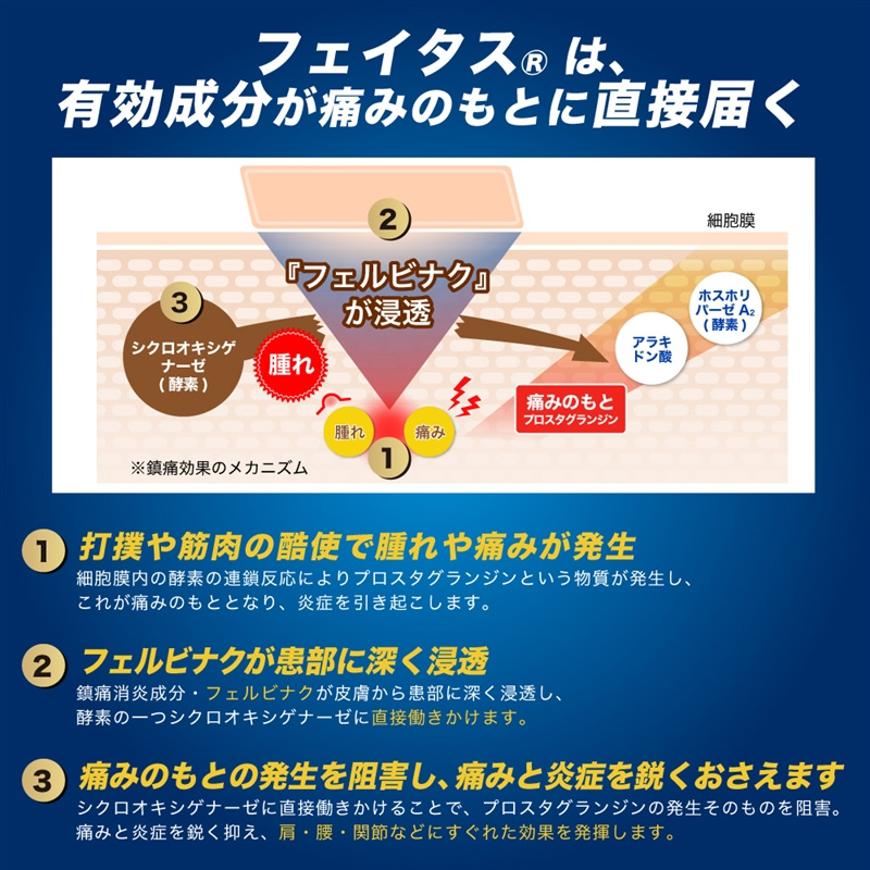 【第2類医薬品】フェイタス 5.0 (大判サイズ) 10枚
