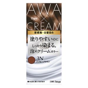 泡クリームカラー 3Ｎシフォンブラウン 白髪用【医薬部外品】