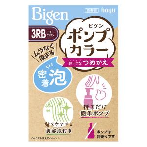 ビゲン ポンプカラー 詰替 3RB リッチブラウン【医薬部外品】