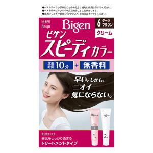 ビゲン スピーディカラー クリーム 6 ダークブラウン