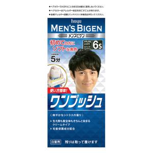 メンズビゲン ワンプッシュ 6S ナチュラルシャドウ
