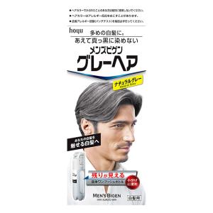 メンズビゲングレーヘアナチュラルグレー