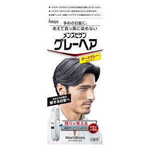 メンズビゲン グレーヘア ダークグレー