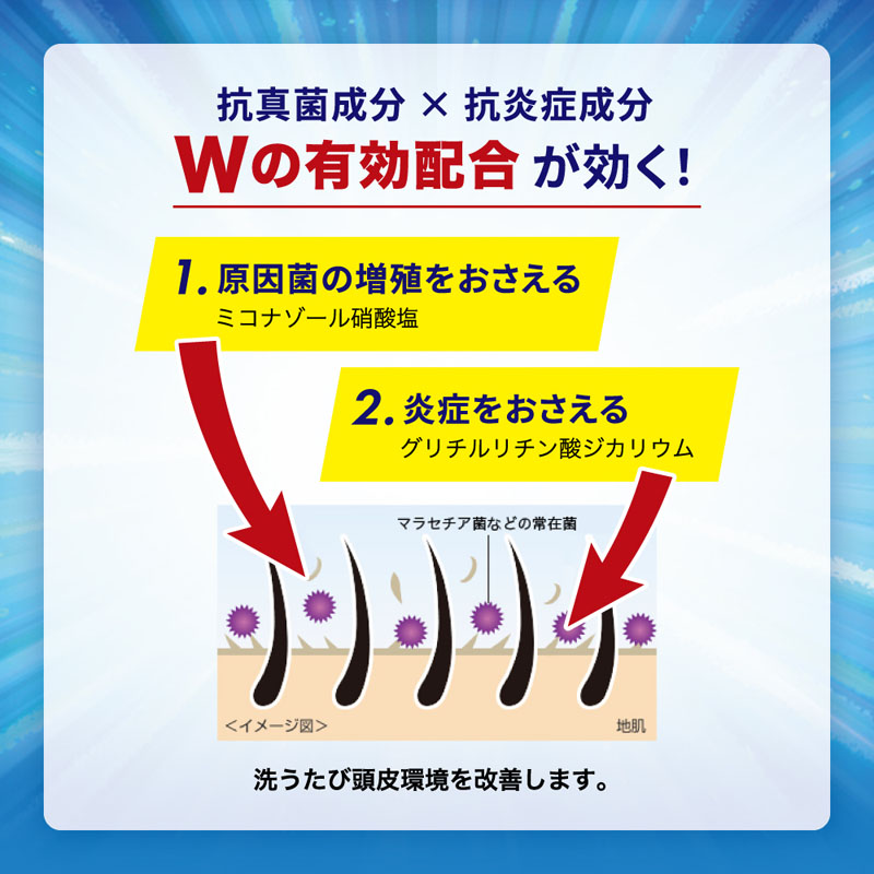 メディクイックH 頭皮のメディカルシャンプー 本体【医薬部外品】 320mL