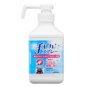 手ピカスプレー【指定医薬部外品】 420ml