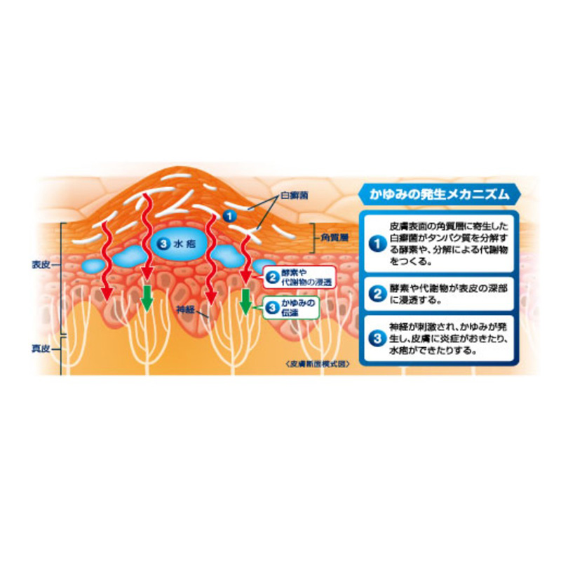 【指定第2類医薬品】【指定濫用防止医薬品】ダマリン グランデX液 15g