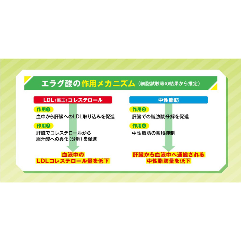 Livita コレス&ミドルケア タブレット粒タイプ 28錠【機能性表示食品】