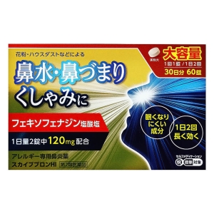 【第2類医薬品】スカイブブロンHI 60錠