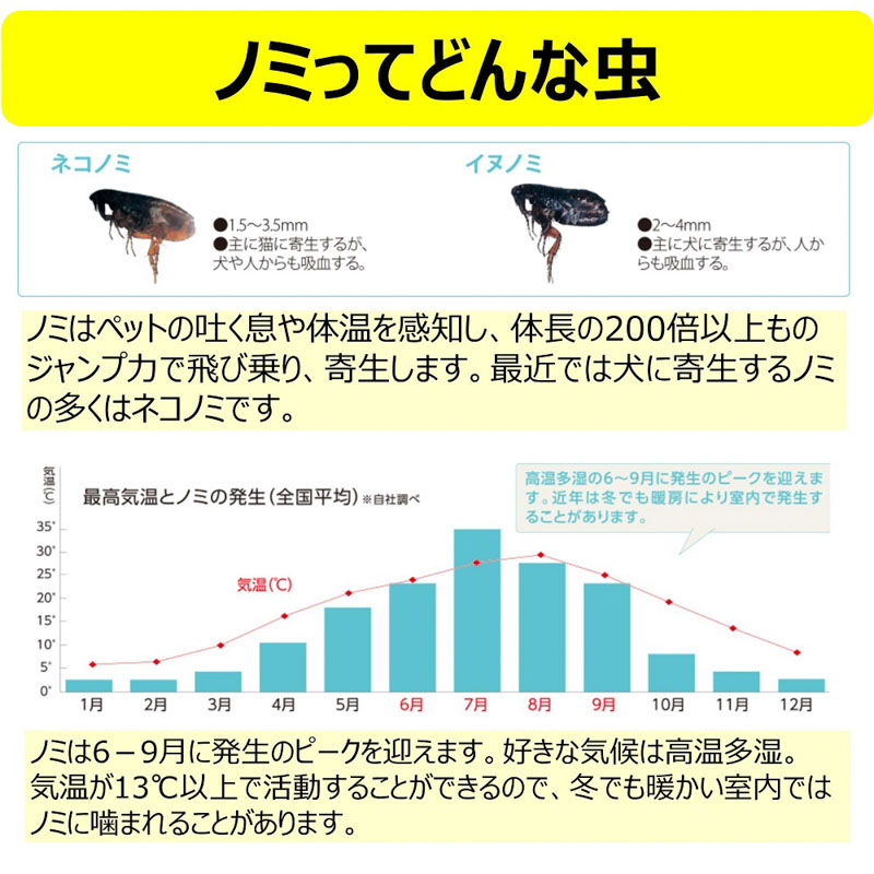 アース・ペット 電子ノミとりホイホイ 取り替え用粘着シート3枚入