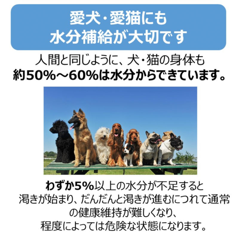 ペットスエット 500ml