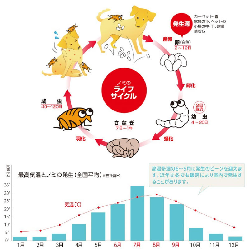 薬用ショットオン猫用 3本入り