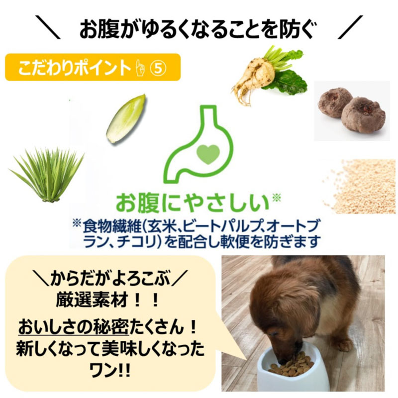 ファーストチョイス ChoiceS 成犬1歳以上に チキン 2.4kg(600g×4袋)