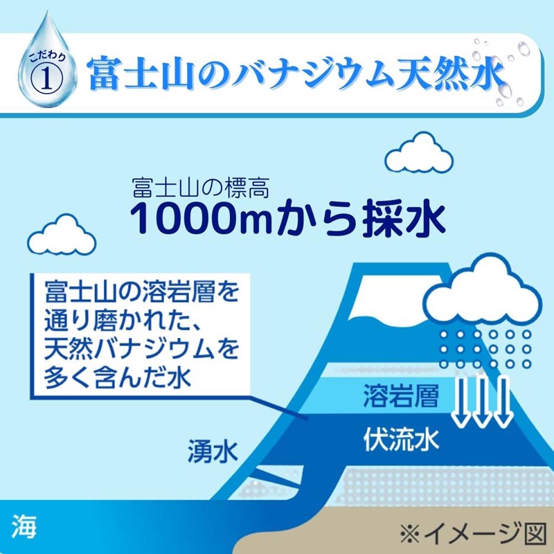 ペットの天然水Vウォーター 500ml