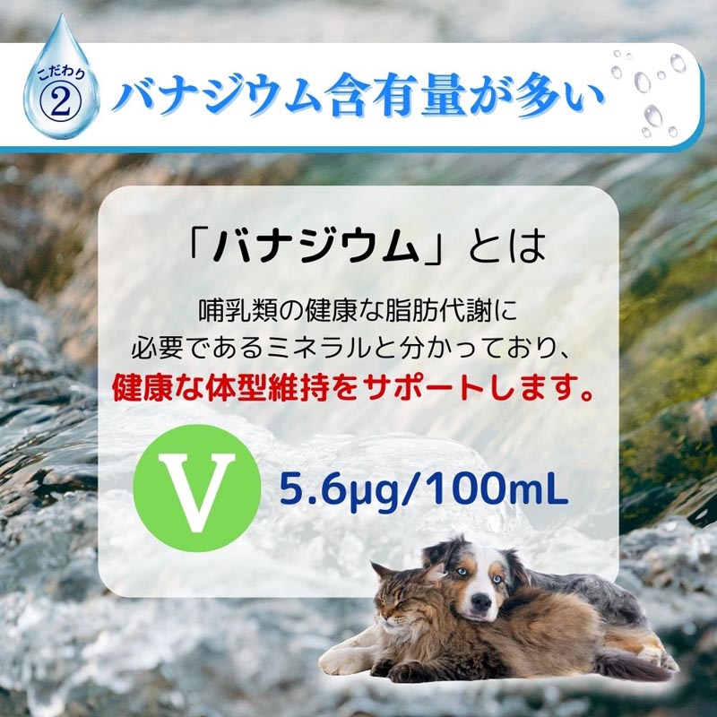 ペットの天然水Vウォーター 500ml