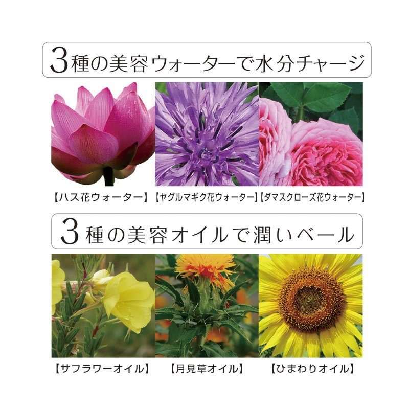 クッション ファンデーション(モイスチャー)レフィルNo.21明るい肌色 15g